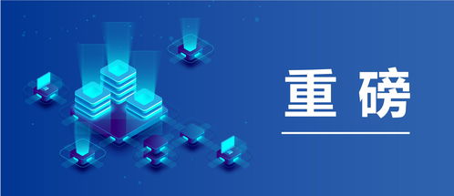 最新 海关总署 全面启用海关行政电子印章