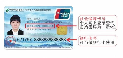 电子社保卡密码忘了怎么办 看了你就懂了